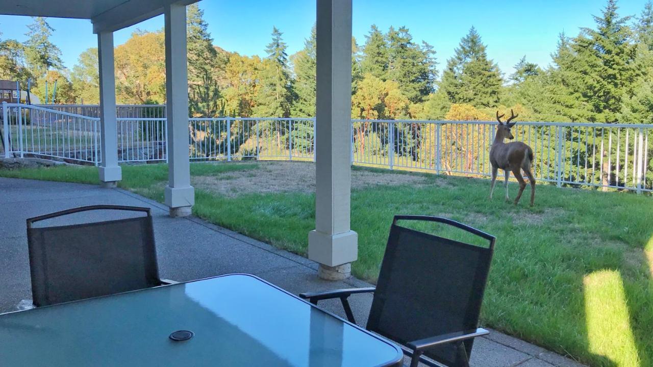 Oasis Bed & Breakfast Langford Exterior foto